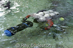 Cave diver returning from dive at Ginnie Springs FL. by Ray Eccleston 